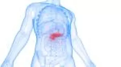 Anvisa aprova primeiro medicamento que retarda evolução do diabetes tipo 1 no Brasil