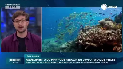 Aquecimento dos oceanos pode reduzir população de peixes em 20%