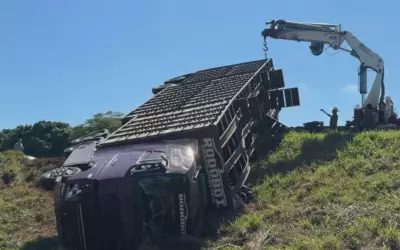 Caminhão com 130 bezerros tomba em rodovia de SP após colisão; motorista bêbado preso