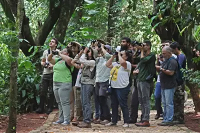 Campo Grande promove observação de aves durante conferência internacional sobre espécies migratórias