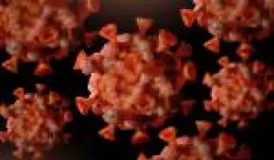 Casos de mpox no Brasil sobem para 140 em 2026, com São Paulo liderando registros