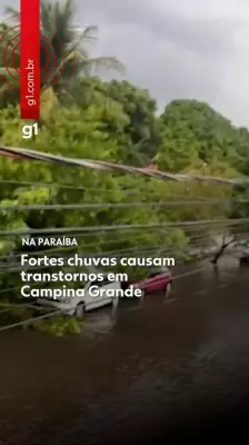 Chuva intensa e granizo causam estragos em Campina Grande; 16 árvores caídas