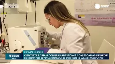Cientistas espanhóis criam córneas artificiais a partir de escamas de peixe