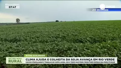 Clima favorece e colheita da soja avança rapidamente em Rio Verde, Goiás