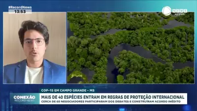 COP-15 estabelece proteção inédita para mais de 40 espécies migratórias