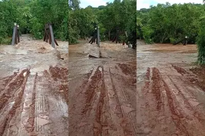 Corguinho e Ivinhema em situação de emergência após chuvas ultrapassarem 100mm