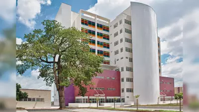 Criança de 3 anos picada por escorpião em Rio Preto está internada em estado grave