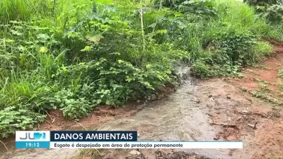 Esgoto contamina área de proteção ambiental em Altamira, no Pará