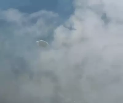 Fenômeno óptico 'Glória' cria bolha luminosa ao redor de avião em Santa Catarina