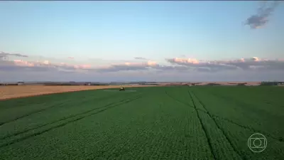 Guerra no Oriente Médio dispara preços de fertilizantes e ameaça safras brasileiras