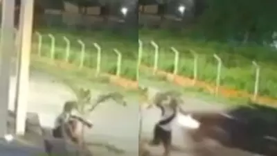 Homem escapa por segundos de carro que invadiu rotatória e derrubou monumento em Floriano