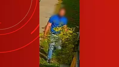 Homem é preso em Brasília por maus-tratos a gato em Manaus após fuga