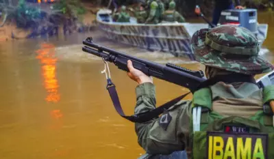 Ibama atacado em operação contra madeira ilegal no Amazonas; americano doa equipamentos