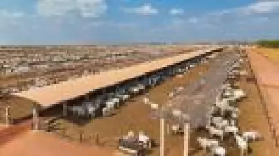 JBS lança tecnologia SaveTan para reduzir impacto ambiental na produção de couro