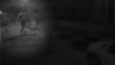 Justiça do RJ decreta internação de adolescentes por agressão brutal a capivara