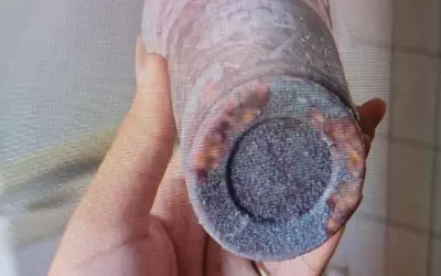 Laudo confirma chumbinho em açaí que intoxicou jovem em Ribeirão Preto; namorada é suspeita