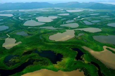 Lula anuncia ampliação de áreas protegidas no Pantanal e nova reserva no Cerrado