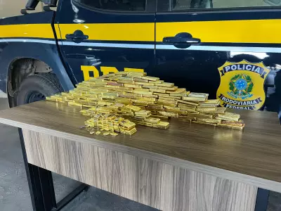 Mais de meia tonelada de ouro ilegal apreendida no Brasil em cinco anos; Roraima lidera