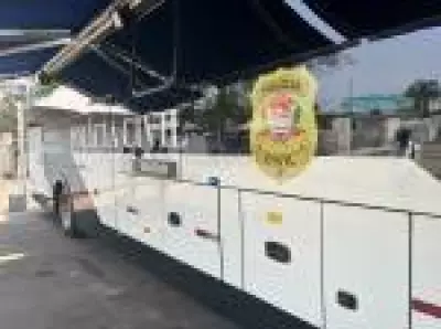 Mulher é presa em flagrante após furtar celulares no Lollapalooza em São Paulo