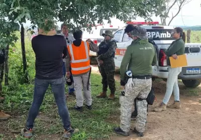 Operação fiscaliza desmatamento ilegal de 227 hectares na Paraíba e autua mais de 10 propriedades