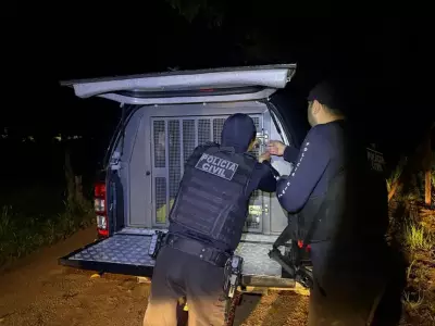 Operação Ponto Crítico prende suspeito após criança se ferir com arma em Ipixuna do Pará