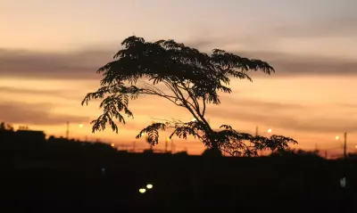 Outono em Juiz de Fora inicia com temperaturas acima da média e previsão de chuvas reduzidas