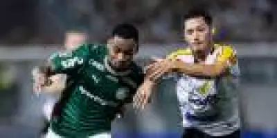 Palmeiras vence Novorizontino no Jorjão e conquista o Campeonato Paulista de 2026