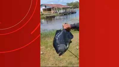 Pescador captura piranha-preta 'gigante' de 40 cm em lago do Amazonas