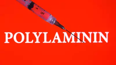 Polilaminina da UFRJ: esperança para lesão medular avança para testes em humanos