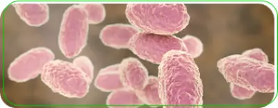 Porto Velho confirma caso de coqueluche em criança; vigilância sanitária atua