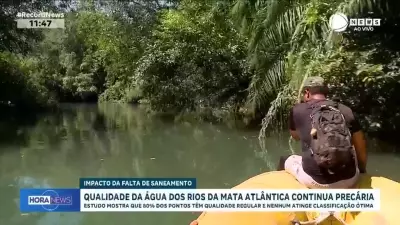 Qualidade da água dos rios da Mata Atlântica permanece precária, aponta estudo