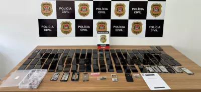 Senado aprova projeto que aumenta penas para furto e roubo de celulares e pets