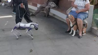 Venezuela aposta em cães-robôs para reforçar segurança pública em Caracas