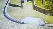Adolescente de 15 anos é apreendido por estuprar idosa de 77 anos em Casimiro de Abreu