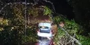 Agricultor morre após árvore cair sobre carro durante chuva intensa em Colares, Pará