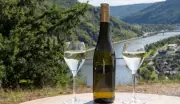 Alemanha: Potência do Vinho Riesling Surpreende com Terroir Único e 40% da Produção Nacional