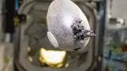 Astronauta da NASA revela 'Spudnik-1': batata com brotos roxos vira sensação no espaço