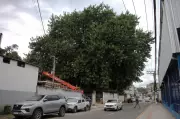 Avenida Presidente Kennedy em Barra Mansa terá interdição para manutenção elétrica e corte de árvore