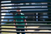 Bolsonaro recebe alta e inicia prisão domiciliar por 90 dias após internação por pneumonia