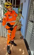 Bombeiros capturam iguana de 1,8 metros em portão de casa em Januária, MG