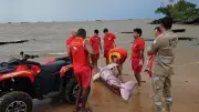 Boto-cor-de-rosa é encontrado morto preso em rede de pesca na praia de Mosqueiro, em Belém