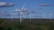 Brasil acelera transição para baixo carbono, mas gargalos de infraestrutura ameaçam avanço
