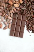 Cacau: das origens ancestrais às propriedades afrodisíacas e probióticas do chocolate