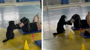 Cachorrinho invade aula de ginástica e acompanha dona em Várzea Paulista