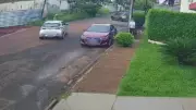 Cachorro de rua 'toca o terror' em Uberlândia e moradores pedem ajuda urgente