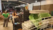 Campanha arrecada 194 toneladas de produtos para vítimas das chuvas na Zona da Mata mineira