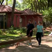 Campinas autoriza entrada de animais de estimação em parques e bosques municipais