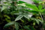 Cantor João Gordo é flagrado com drogas em aeroporto de BH e assina TCO