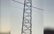 Cerca de 14 tucanos são flagrados em torre de transmissão em Cerquilho, SP
