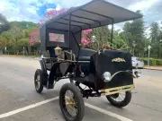 Charretes são extintas em Poços de Caldas; carruagens elétricas sem prazo definido